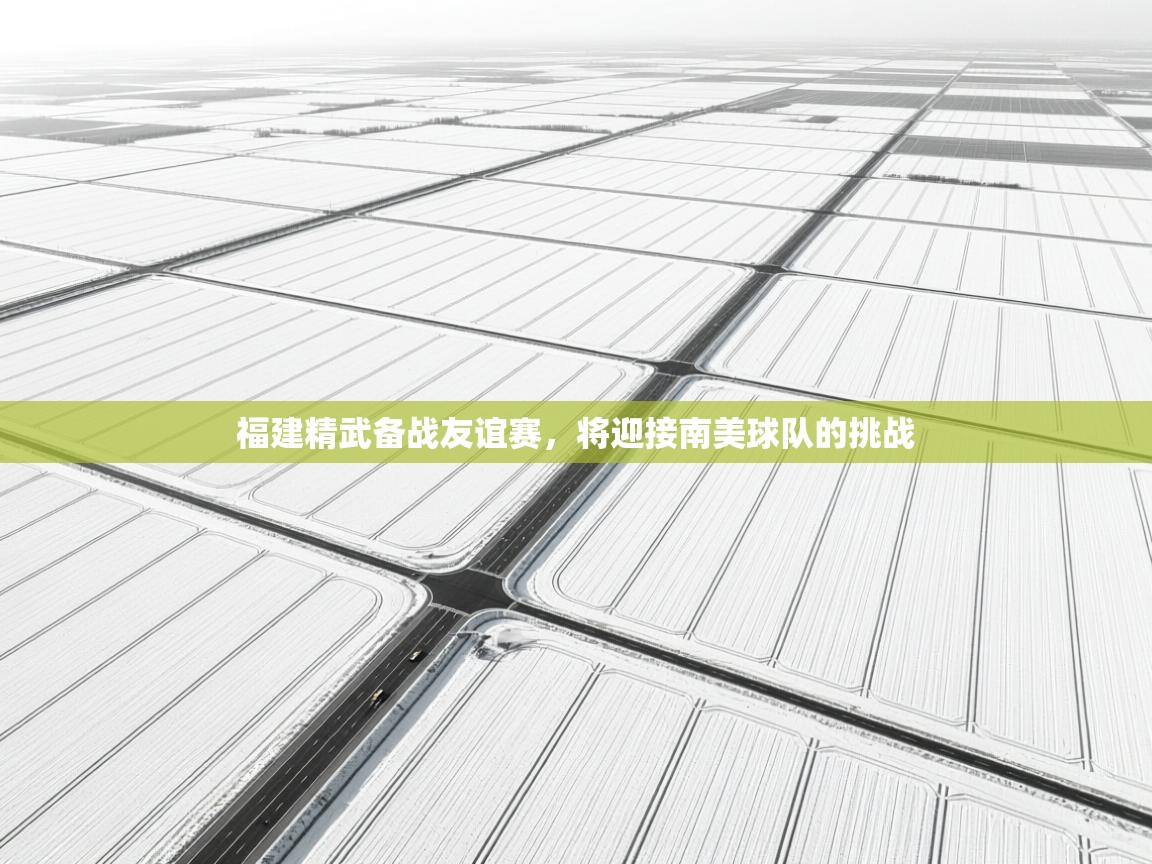 福建精武备战友谊赛，将迎接南美球队的挑战  第2张