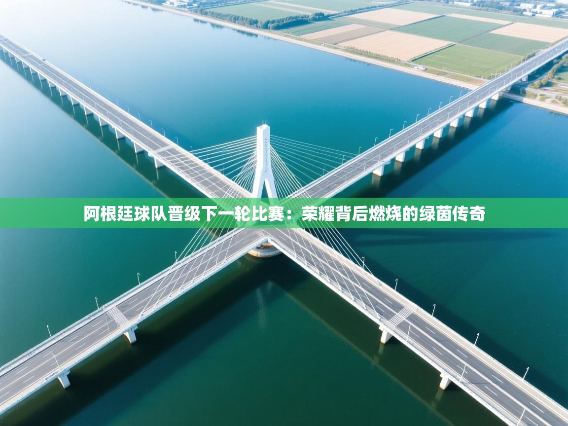 阿根廷球队晋级下一轮比赛：荣耀背后燃烧的绿茵传奇  第1张