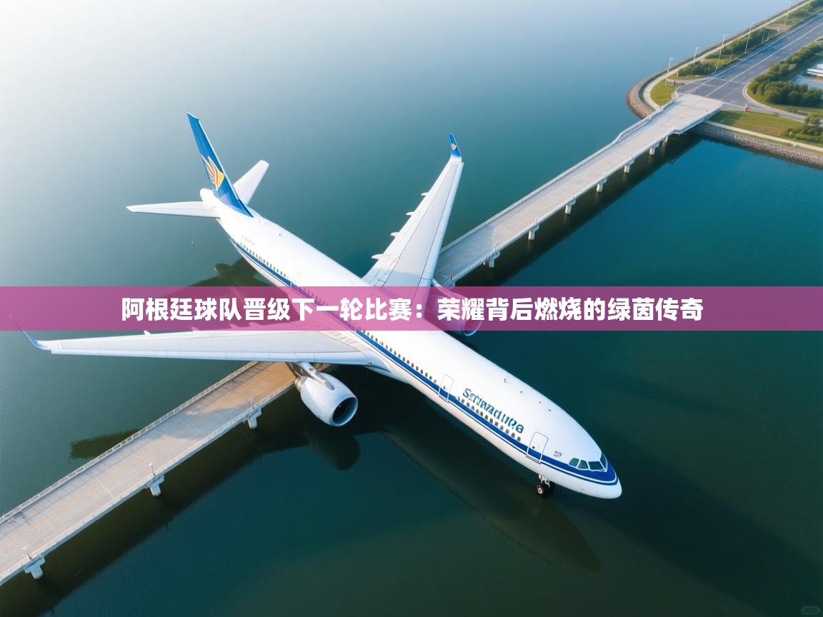 阿根廷球队晋级下一轮比赛：荣耀背后燃烧的绿茵传奇  第2张